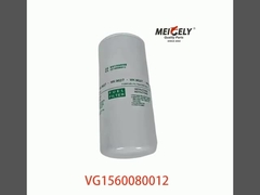 VG1560080012 Filtre à chaud 20805349 Pour SINOTRUK CNHTC