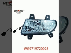 Vente à chaud WG9719720025 Lampes regroupées WG9719720001 Pour SINOTRUK HOWO TRUCK