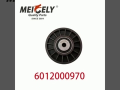 6012000970 9146139 Pièces détachées de moteur automobile