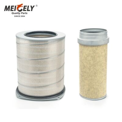 Filtre à air de haute qualité pour camion OEM1665898 1665937 Filtre pour pièces de camion RVI