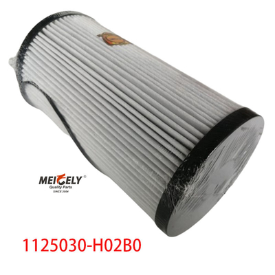 1125030-H02B0 Filtre à carburant pour camions pour Dongfeng Tianlong