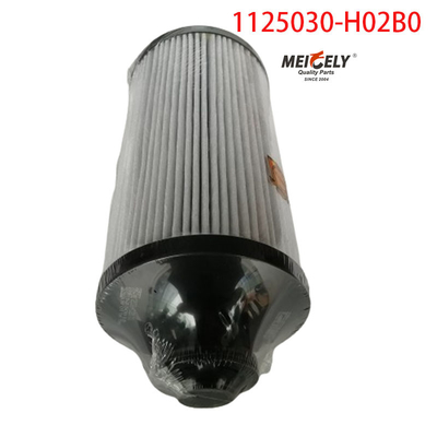 1125030-H02B0 Filtre à carburant pour camions pour Dongfeng Tianlong