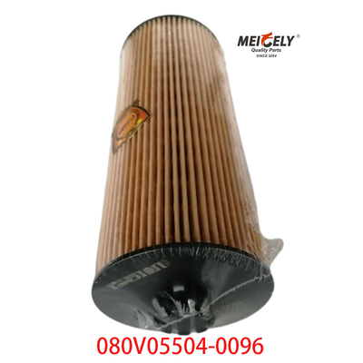 Pour le filtre à huile de camion SINOTRUK Howo T5G