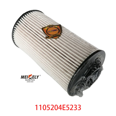 Stock 1105204E5233 élément de filtre à carburant pour JAC Jianghuai Junling
