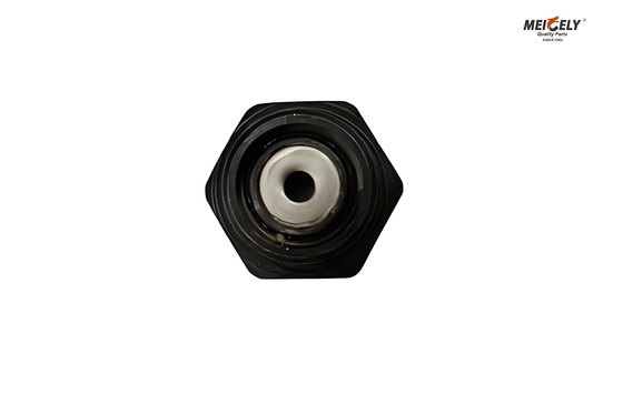 Fuso et Canter ME012586 Bolt Oil Jet Valve Pour tous les modèles