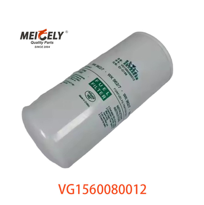 Pour le filtre à carburant SINOTRUK CNHTC HOWO