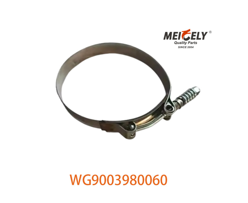 OEM WG9003980060 Serre à tuyau solide pour SINOTRUK HOWO