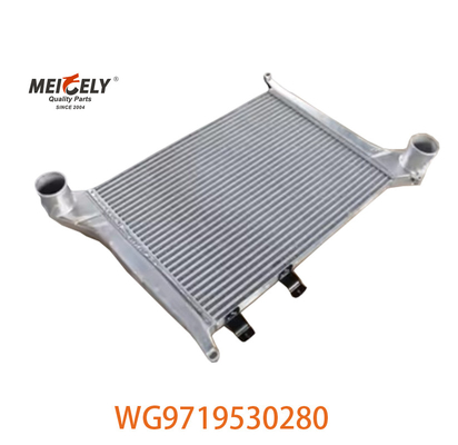 Pour le groupe Howo Intercooler WG9719530281