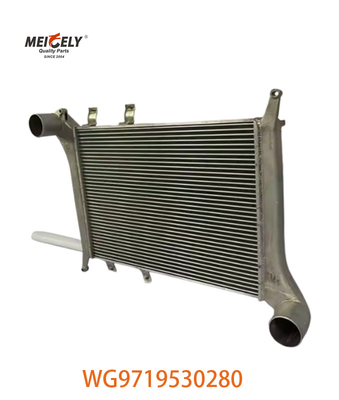 Pour le groupe Howo Intercooler WG9719530281