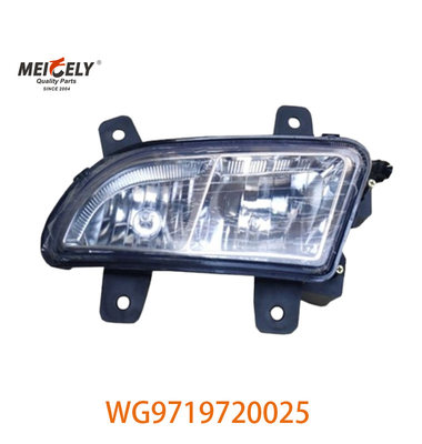 Lumières groupées pour camions lourds à moteur Sinotruk Howo WG9719720025 WG9719720001
