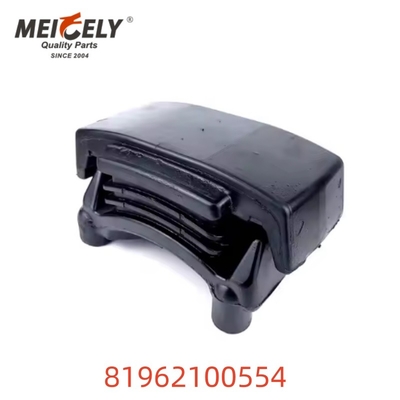 OEM 81962100554 Pièces de moteur à ressorts à feuilles de haute qualité pour homme