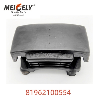 OEM 81962100554 Pièces de moteur à ressorts à feuilles de haute qualité pour homme