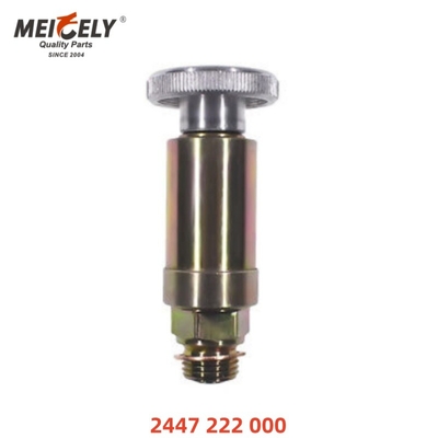 Moteurs de haute qualité pompe à carburant pompe à main OEM 2447222000 Pour Mercedes Benz